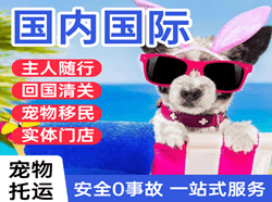 上海虹桥机场货运国际宠物托运 【国